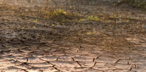 suelo seco, desertificación