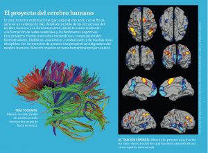 imágen digital del cerebro humano