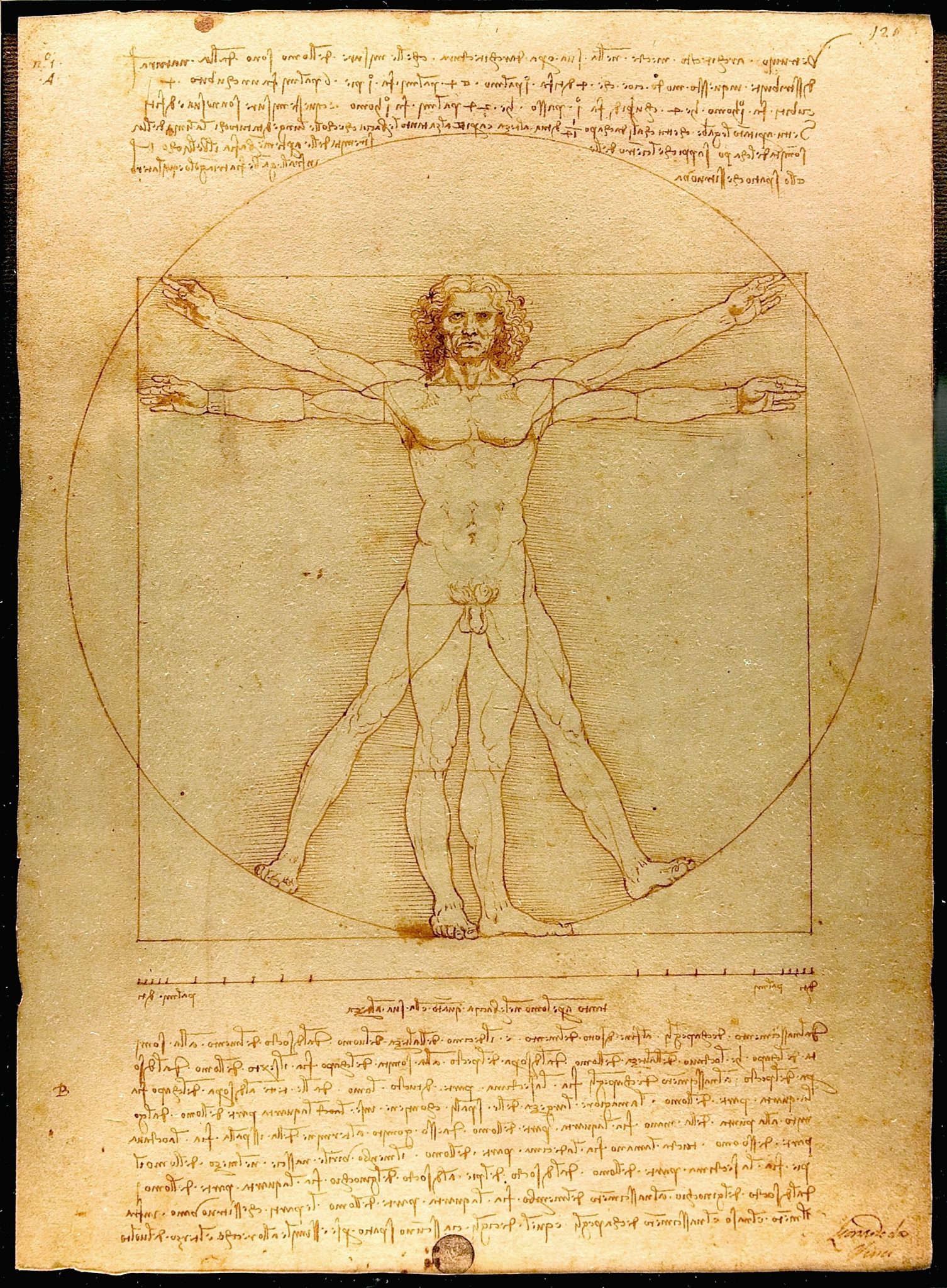 manuscrito de Leonardo da Vinci