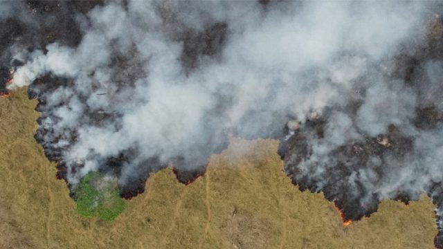 imagen satelital incendio forestal