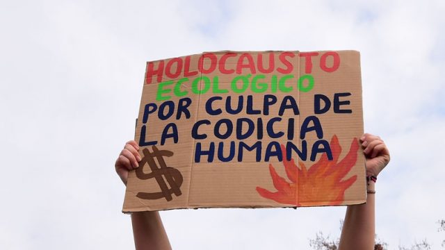 cartel que dice "holocausto ecológico culpa de la codicia human"