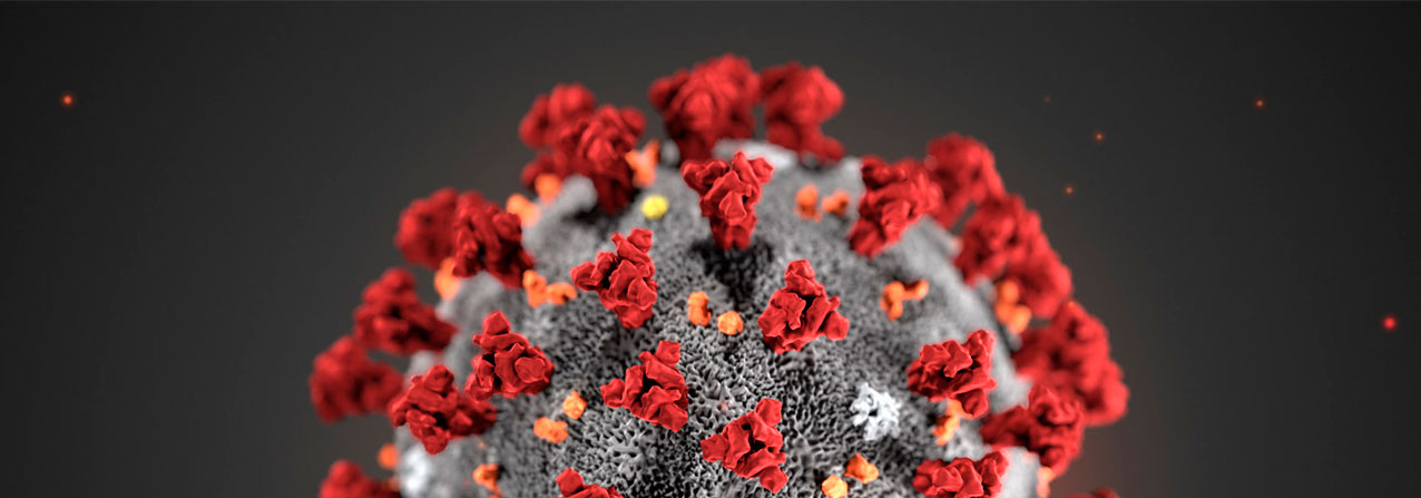 imagen microscópica de un virus