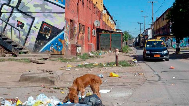Persona caminando por una calle de tierra, detrás un block con casas y un perro husmeando basura
