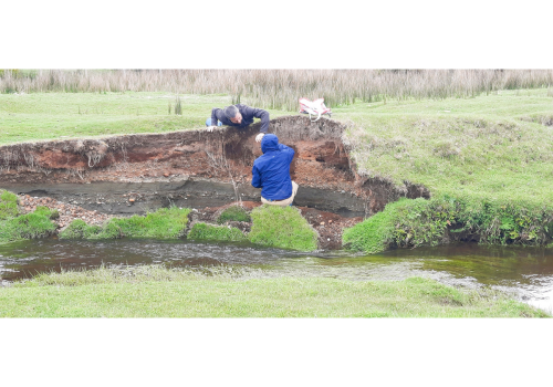 EN TERRENO